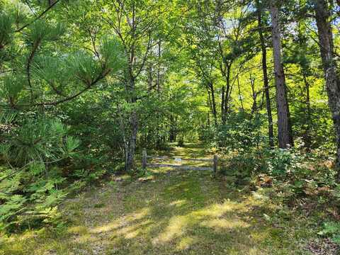 Par 2 Wilderness Trail, Luther, MI 49656
