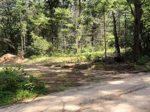 3583 E Croton Drive, Newaygo, MI 49337