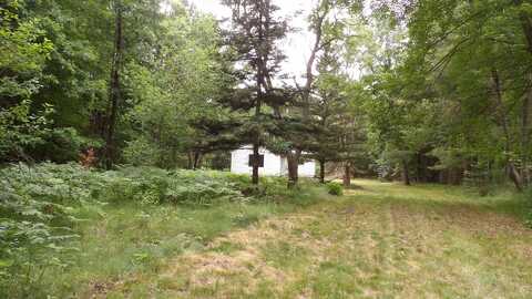 4175 Blue Vista Drive, Evart, MI 49631