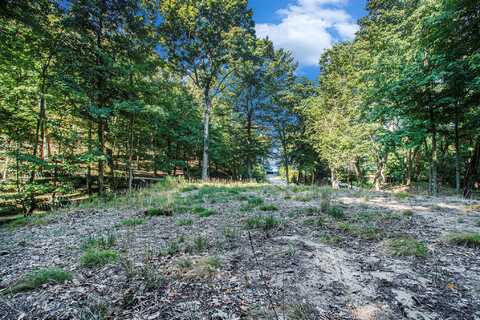 345 Dunegrass Ridge Drive, Saugatuck, MI 49453