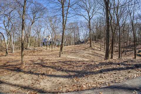 345 Dunegrass Ridge Drive, Saugatuck, MI 49453