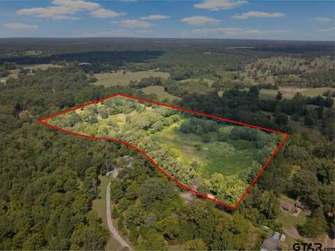 3926 Pignut Rd, Gilmer, TX 75644