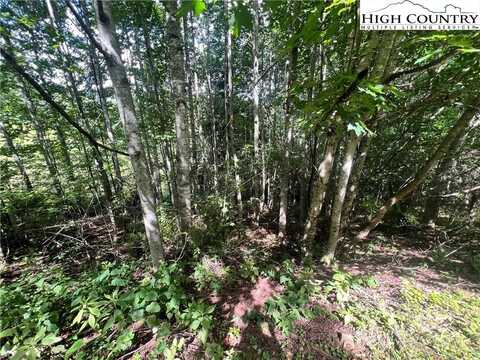 Lot 5 Old Barn Road, Vilas, NC 28692
