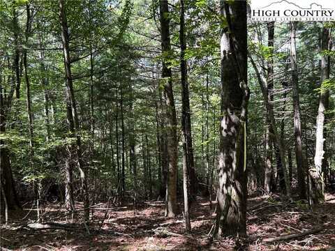 Tbd Cherry Drive, Jefferson, NC 28640