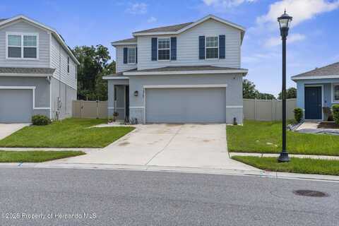 10767 Old Sycamore Loop, Keystone, FL 34638