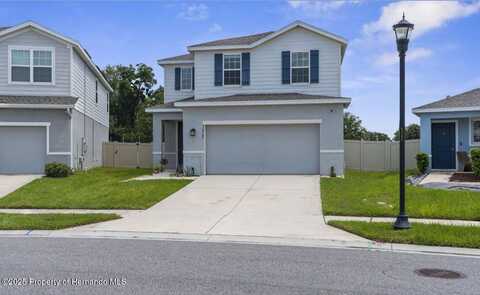 10767 Old Sycamore Loop, Keystone, FL 34638