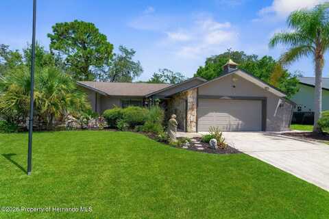 4346 Craigdarragh Avenue, Spring Hill, FL 34606