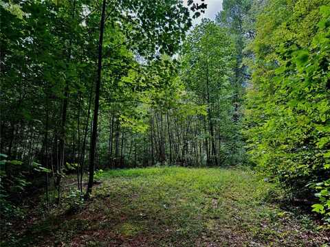 0 DENDY ORCHARD, Highlands, NC 28741
