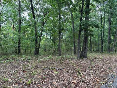 Gates Rd, ELKTON, KY 42220