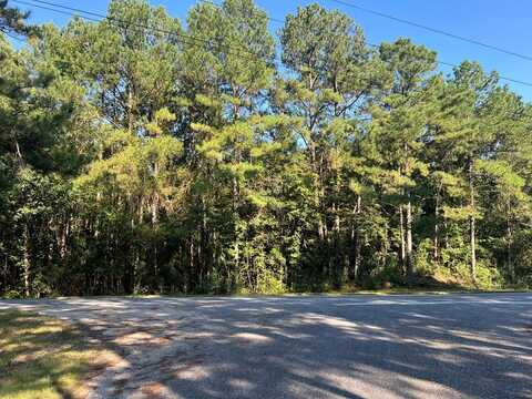 0 Pugh Rd, Shubuta, MS 39360