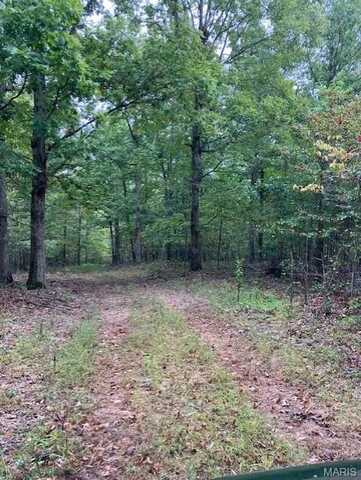 169 Madison CR 410, Fredericktown, MO 63645