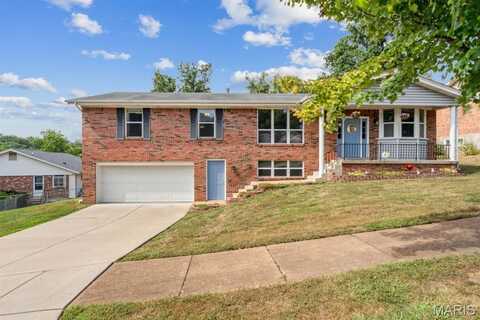 4449 Pinyon Jay Court, Saint Louis, MO 63128