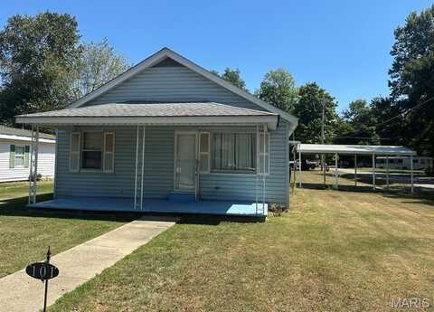 101 Whiterow Avenue, Gideon, MO 63848