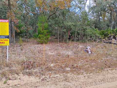 244 Thompson, Palatka, FL 32148