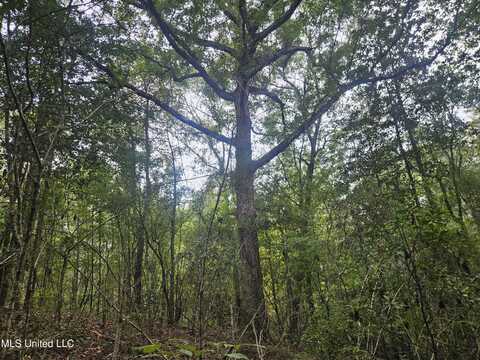 Simpson Highway, Mount Olive, MS 39119