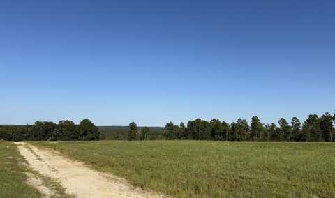06 Shaws Fork Road, Aiken, SC 29805