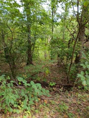Wishaw DR, Bella Vista, AR 72715