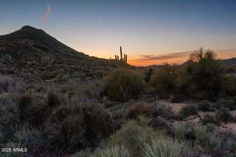39954 N 98TH Way, Scottsdale, AZ 85262