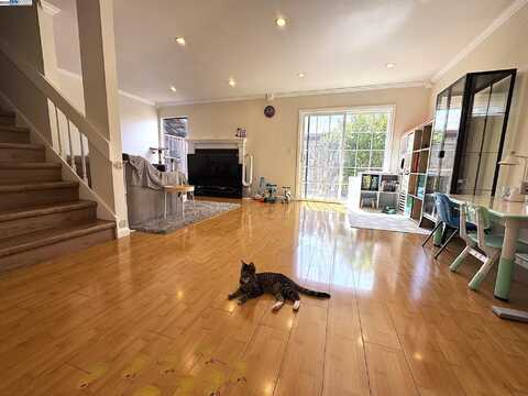 19901 Forest Ave, Castro Valley, CA 94546