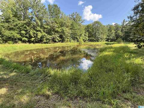 20394 HIGHWAY 55, STERRETT, AL 35147