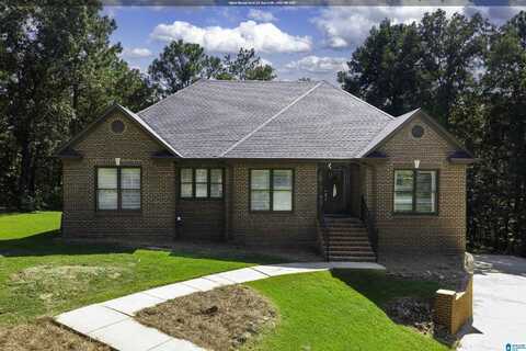 4109 HIGHWAY 109, COLUMBIANA, AL 35051