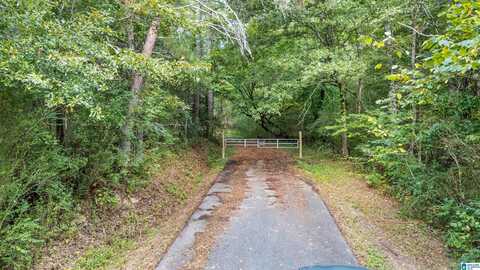 4339 PINE RIDGE ROAD, MOUNT OLIVE, AL 35117