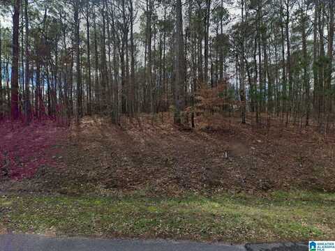 100 STIRRUP CUP COVE, COLUMBIANA, AL 35051