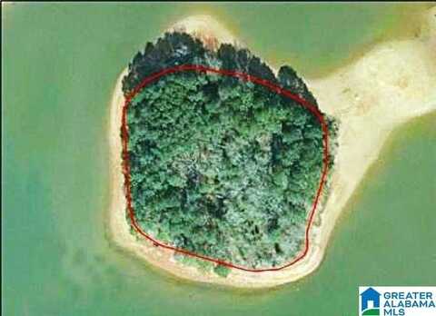 0 W SHANNON LYNN SHORES LANE, TALLADEGA, AL 35160