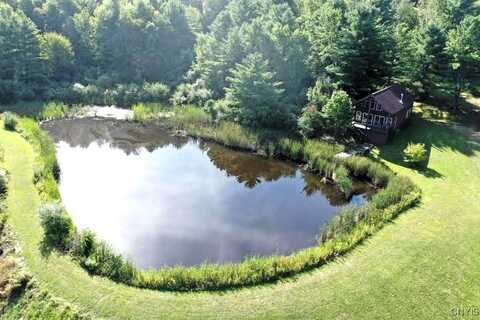 9862 Blencowe Road, Erwin, NY 14870