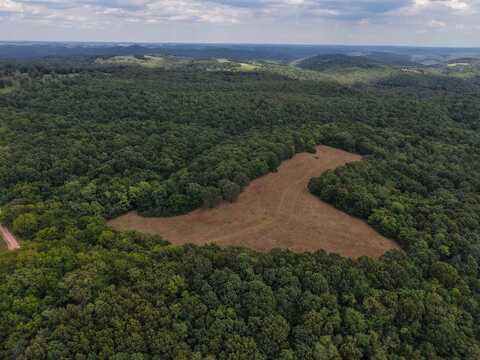 186A Williamson Trail, Mount Pleasant, AR 72561