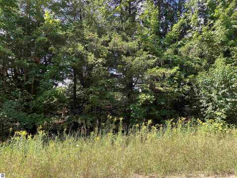 180 FLOWING WELL ROAD, KALKASKA, MI 49646