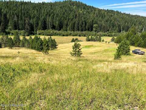 Nka S. Fork Hangman Creek, Tensed, ID 83870