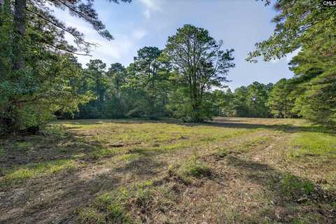 527 Semm Sease Road, Gilbert, SC 29054