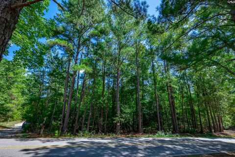 1125 Dan Comalander Drive, Chapin, SC 29036