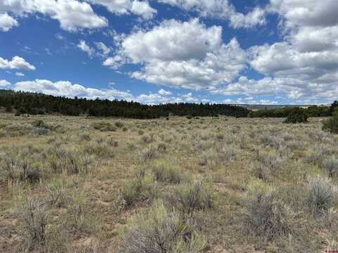 TBD Conejos River Trails, Antonito, CO 81120