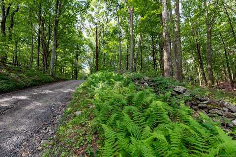 31 Holmes Road, Roxbury, CT 06783
