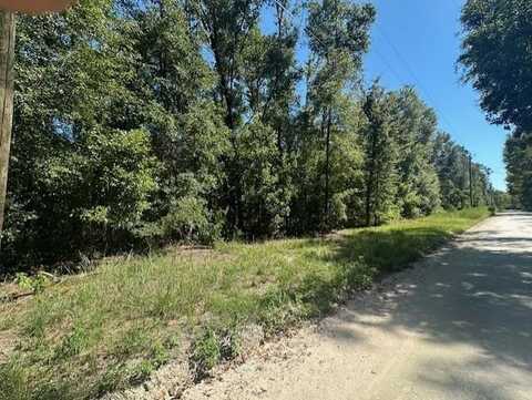 38th Pl, Bell, FL 32619