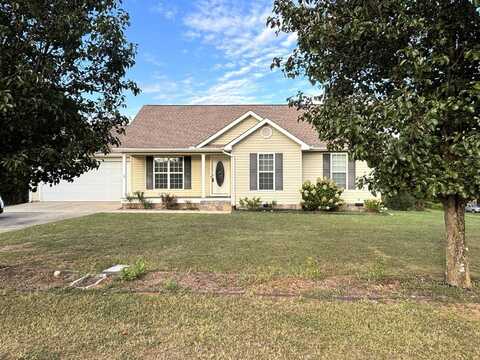 63 Daisey Lane, CHATSWORTH, GA 30705