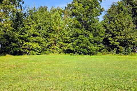 0 JACQUELINE DR, Georgetown, GA 39854