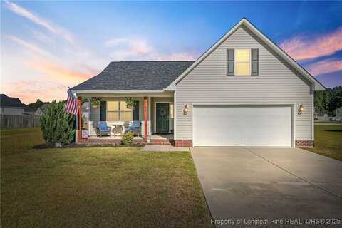 46 Emma Court, Linden, NC 28356