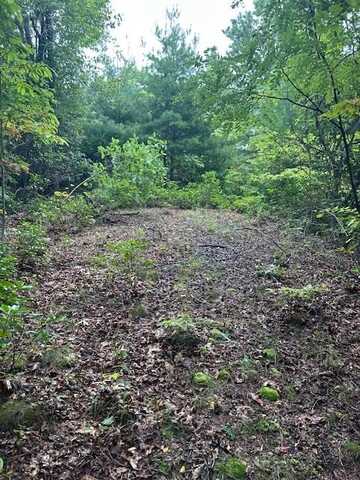 Crowfoot Trail, Bryson City, NC 28713