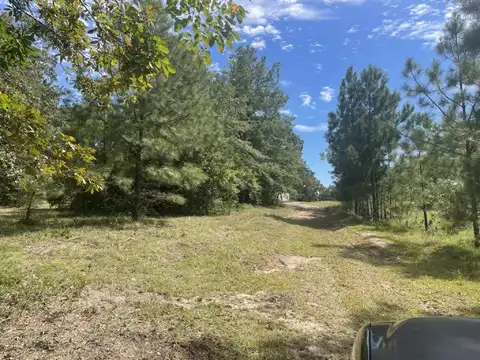 1943 Mcdade Farm Road, Hephzibah, GA 30815