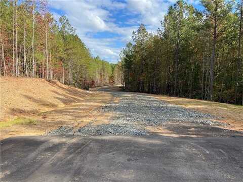 #3 Lone Bear Path Path, Dallas, GA 30132