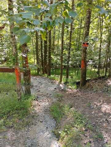 0 HARVEST LANE, East Ellijay, GA 30540