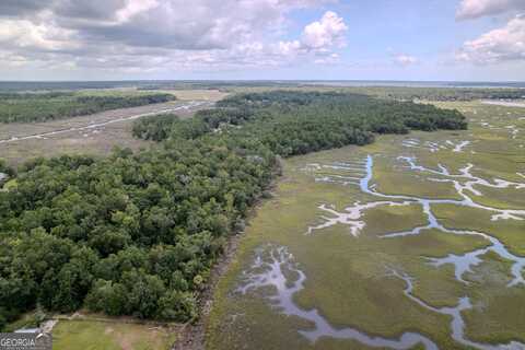 0 Sheffield Island, Woodbine, GA 31569