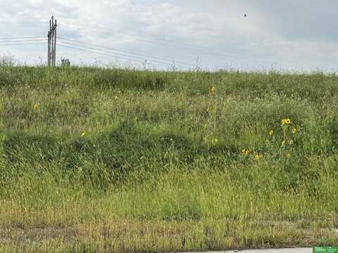 22801 Quarry Lane, Gretna, NE 68028