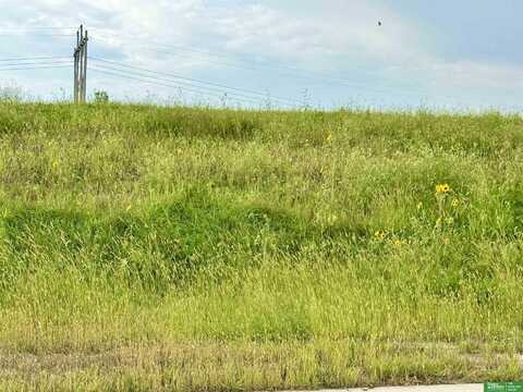 22801 Quarry Lane, Gretna, NE 68028