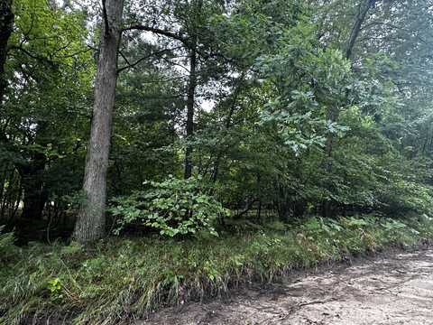 00 W 5 Mile Road, Irons, MI 49644