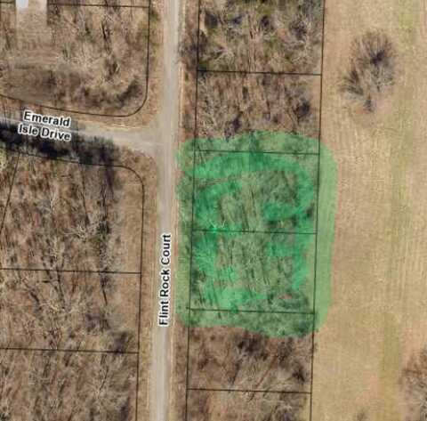 310 Flint Rock Court, Hollister, MO 65672
