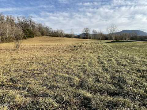 4169 Newport Highway, Sevierville, TN 37876